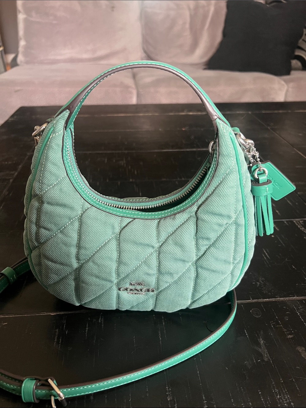 Coach Quilted Mini Hobo Bag in Mint
